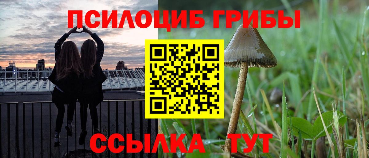 Псилоцибиновые грибы Cubensis Лыткарино